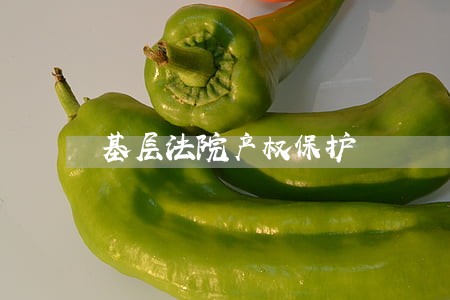 基层法院产权保护 基层法院产权保护