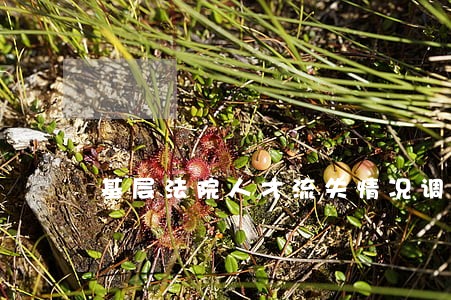 基层法院人才流失情况调研报告 基层法院人才流失情况调研报告