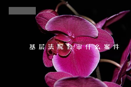 基层法院会审什么案件 基层法院会审什么案件