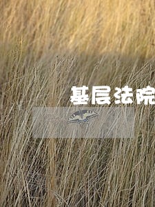 基层法院信访自查报告 基层法院信访自查报告
