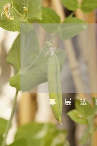 基层法院分类审理民事案件的利憋 基层法院分类审理民事案件的利憋