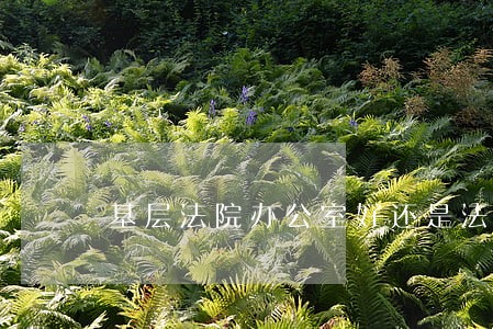 基层法院办公室好还是法官好