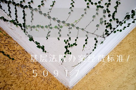 基层法院办案经费标准/2023021850917