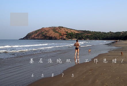 基层法院双打工作总结/2023022465875
