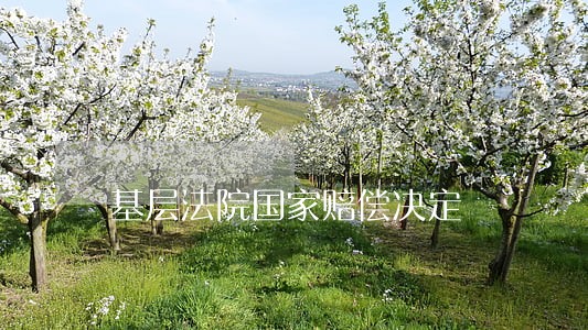基层法院国家赔偿决定 基层法院国家赔偿决定