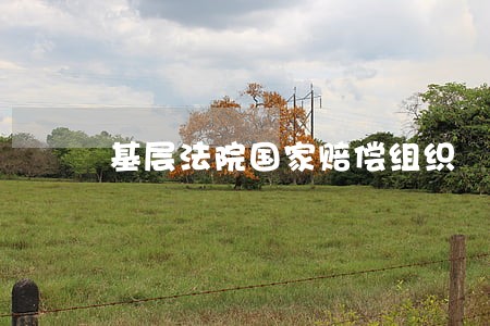基层法院国家赔偿组织 基层法院国家赔偿组织