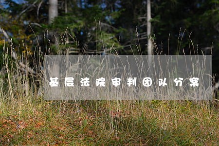 基层法院审判团队分案 基层法院审判团队分案