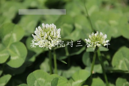 基层法院对三农工作 基层法院对三农工作