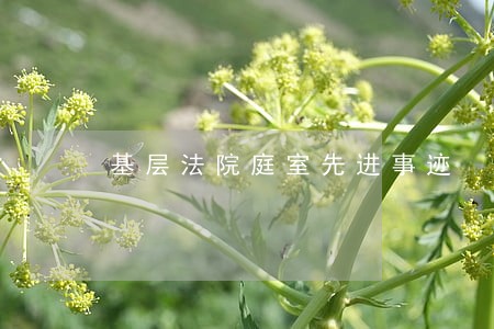 基层法院庭室先进事迹 基层法院庭室先进事迹