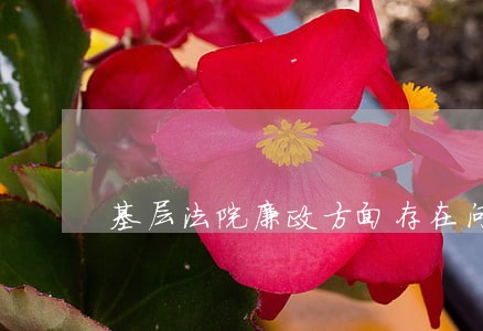 基层法院廉政方面存在问题