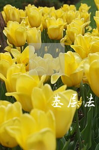基层法院怎么判 基层法院怎么判