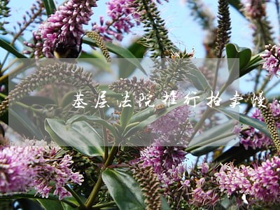 基层法院推行拍卖慢 基层法院推行拍卖慢