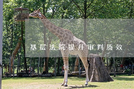 基层法院提升审判质效 基层法院提升审判质效