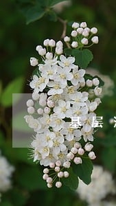 基层法院最大标的 基层法院最大标的