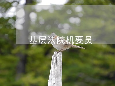 基层法院机要员 基层法院机要员
