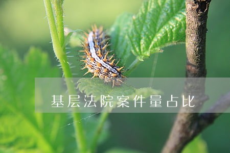 基层法院案件量占比 基层法院案件量占比