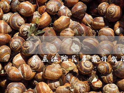 基层法院民事案件发改案件上升