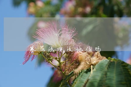 基层法院没地位吗