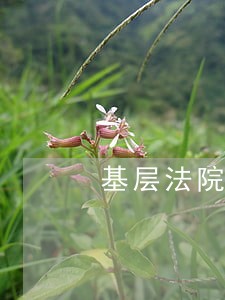 基层法院法官履职能力培训