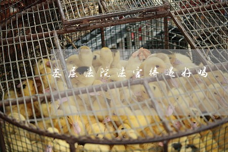 基层法院法官待遇好吗 基层法院法官待遇好吗