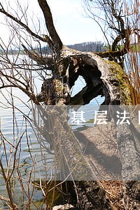 基层法院法庭工作总结