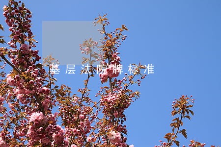 基层法院牌标准 基层法院牌标准