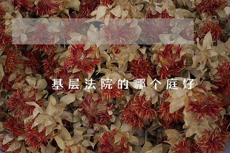 基层法院的哪个庭好 基层法院的哪个庭好