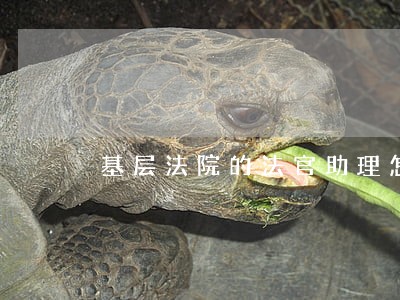 基层法院的法官助理怎么升迁 基层法院的法官助理怎么升迁