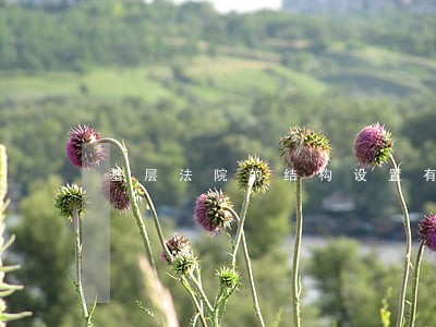 基层法院的结构设置有哪些 基层法院的结构设置有哪些