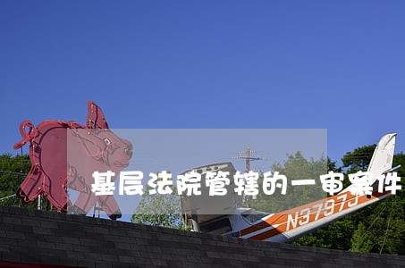 基层法院管辖的一审案件 基层法院管辖的一审案件