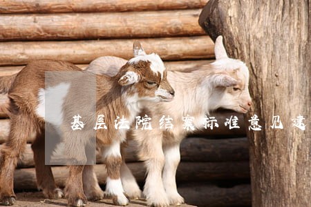 基层法院结案标准意见建议 基层法院结案标准意见建议