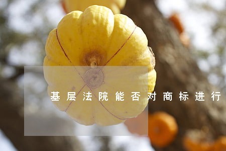 基层法院能否对商标进行保全 基层法院能否对商标进行保全