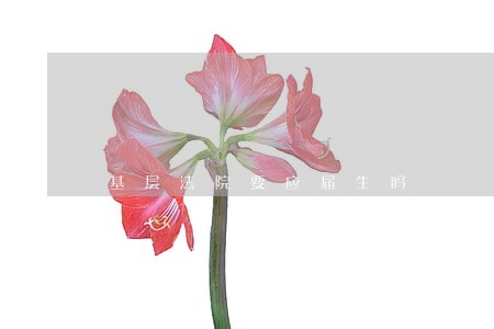 基层法院要应届生吗 基层法院要应届生吗