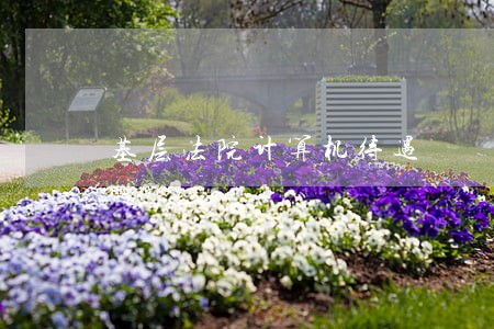 基层法院计算机待遇 基层法院计算机待遇