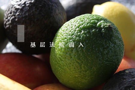 基层法院调入 基层法院调入
