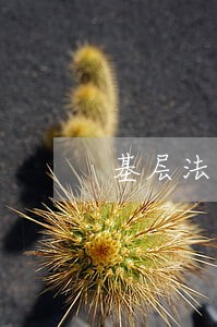 基层法院选人用人 基层法院选人用人