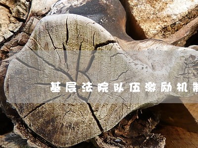 基层法院队伍激励机制仇兆敏 基层法院队伍激励机制仇兆敏