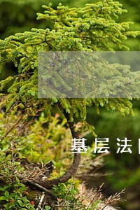 基层法院风采什么意思 基层法院风采什么意思