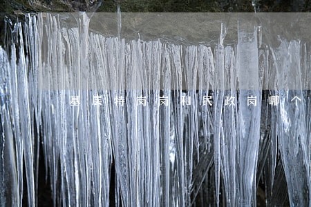 基层特岗岗和民政岗哪个好 基层特岗岗和民政岗哪个好