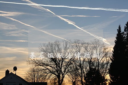 基层组织法律顾问 基层组织法律顾问