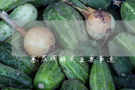 基层调解员主要事迹 基层调解员主要事迹