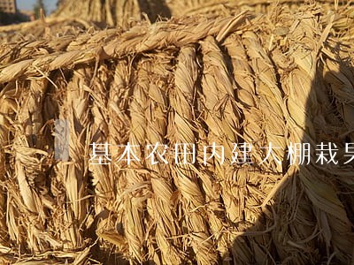 基本农田内建大棚栽果树违法么 基本农田内建大棚栽果树违法么