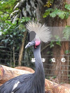 基本农田违法洗沙 基本农田违法洗沙
