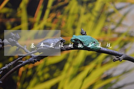 基本建设超概算法规