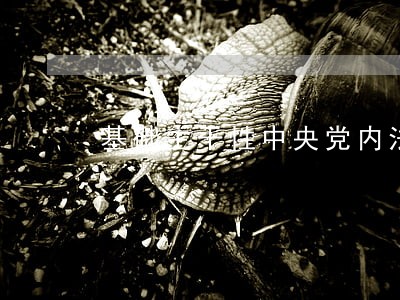 基础主干性中央党内法规制度 基础主干性中央党内法规制度