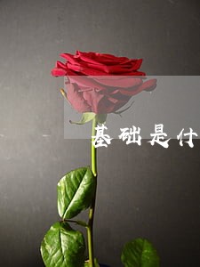 基础是什么意思 基础是什么意思