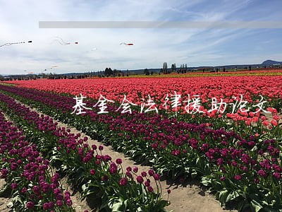 基金会法律援助论文 基金会法律援助论文