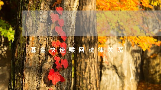 基金快速赎回法律关系