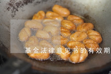 基金法律意见书的有效期 基金法律意见书的有效期