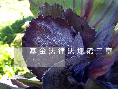 基金法律法规第三章 基金法律法规第三章